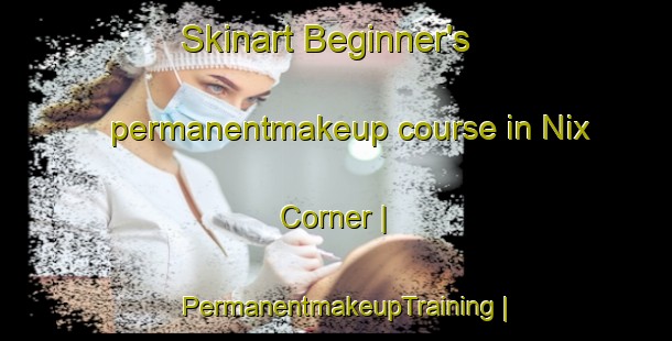 Skinart Beginner's permanentmakeup course in Nix Corner | PermanentmakeupTraining | PermanentmakeupClasses | SkinartTraining-United States